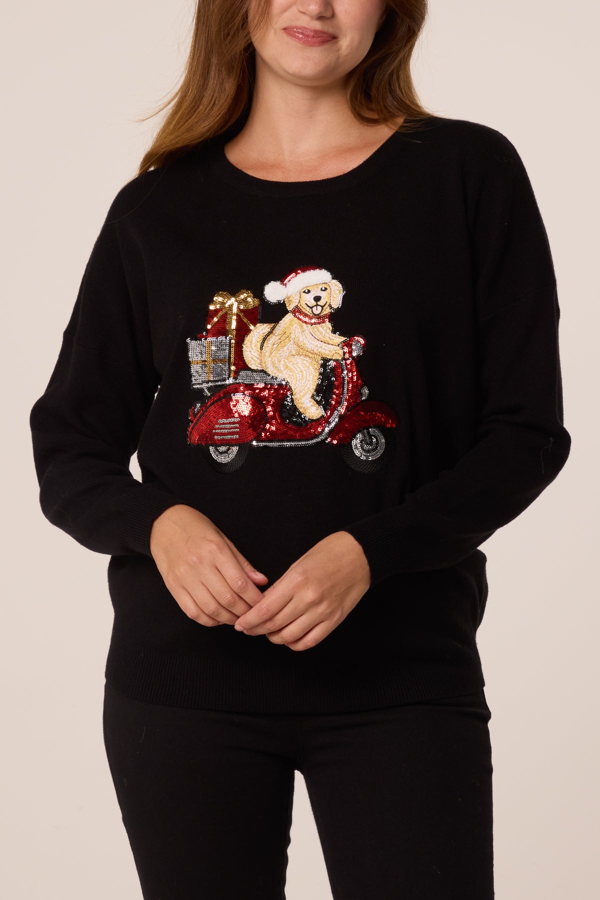 Sequin Detail Christmas Scooter Dog Jumper