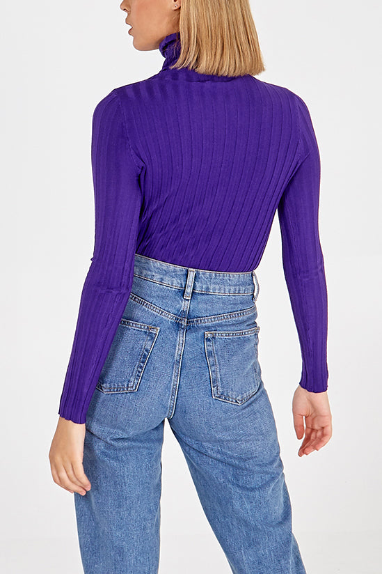 Roll Neck Wide Rib Jumper
