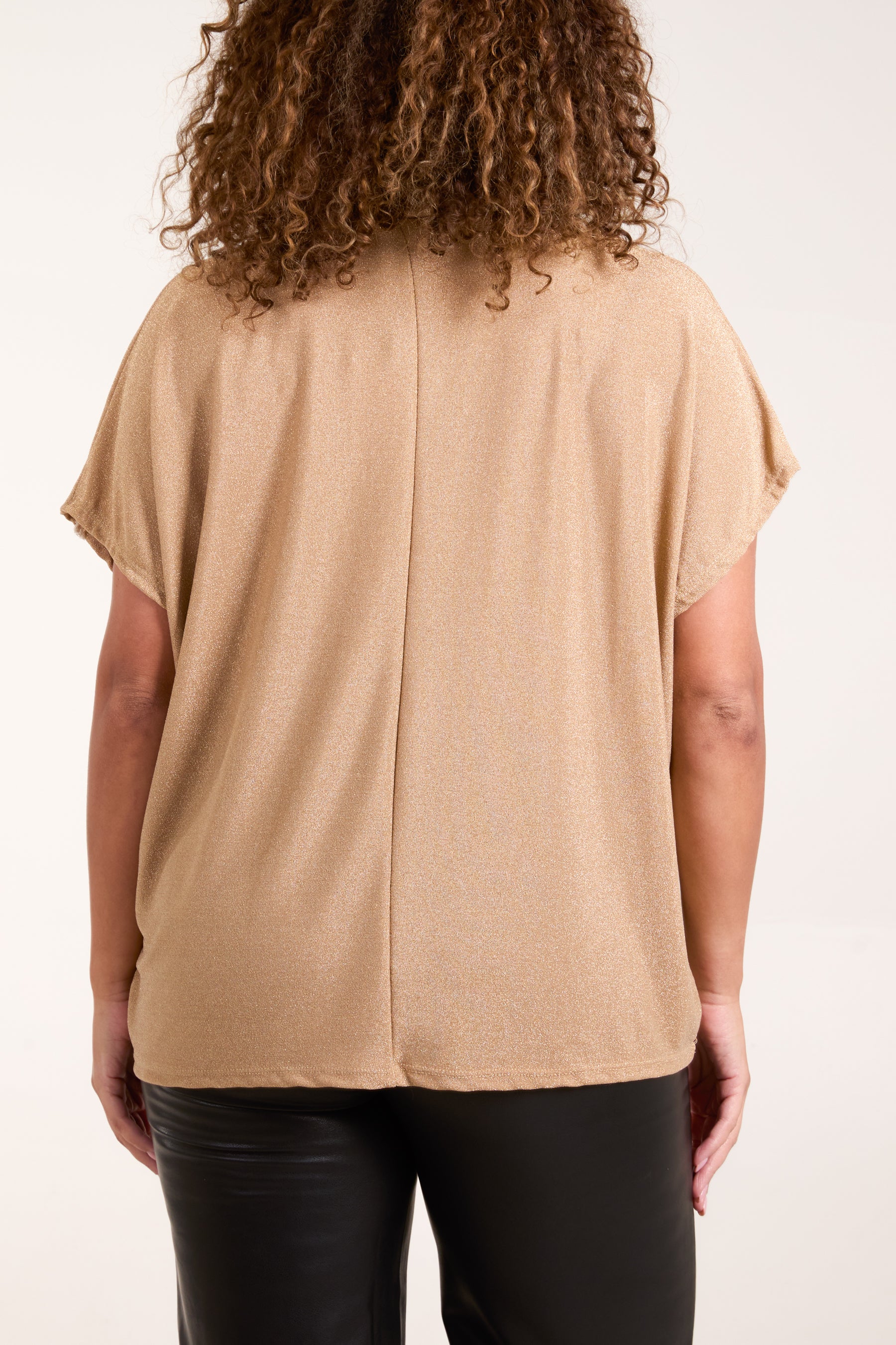Shimmer Roll Neck Short Sleeve Top
