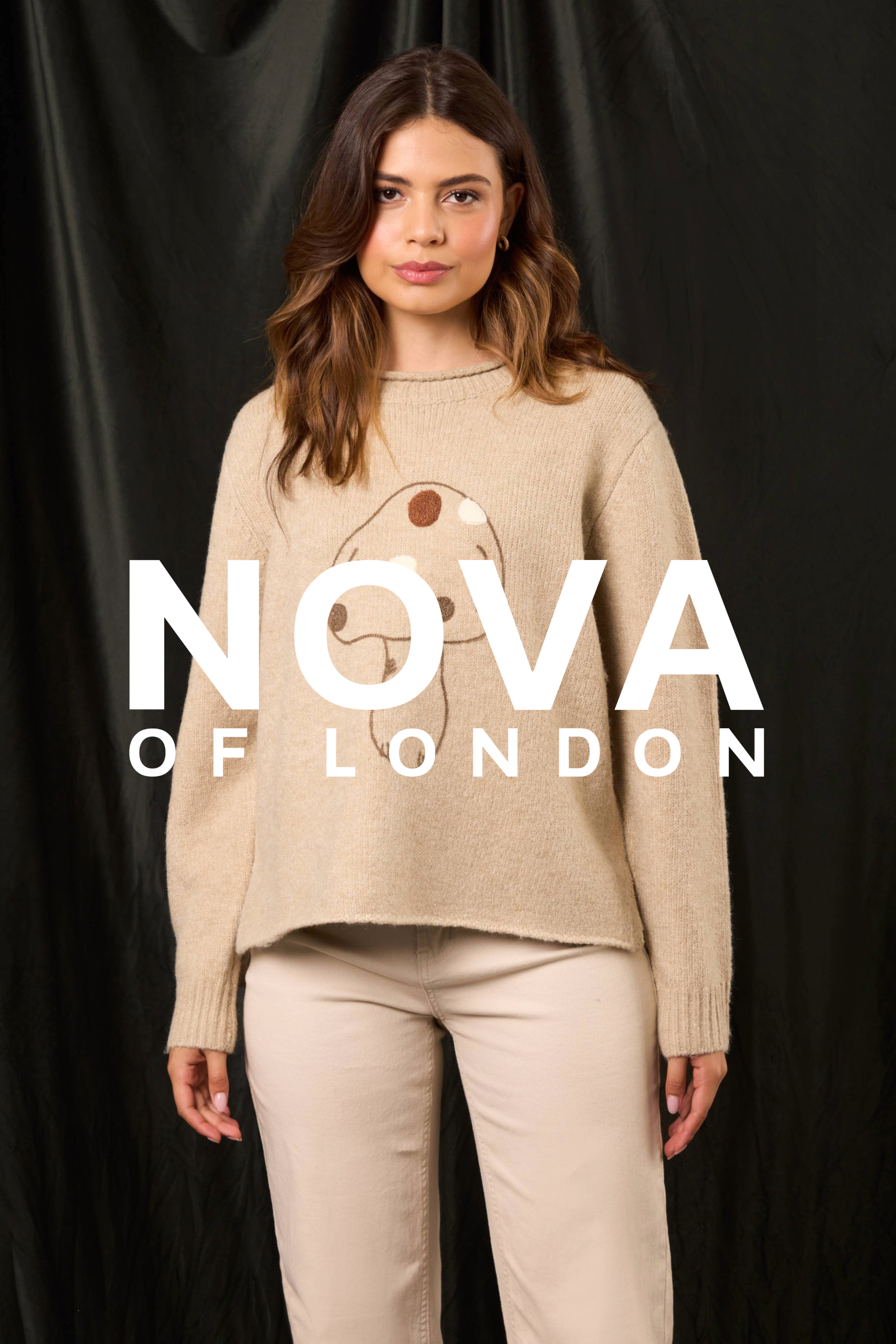 Embroidery & Flocking Mushroom Knit Jumper