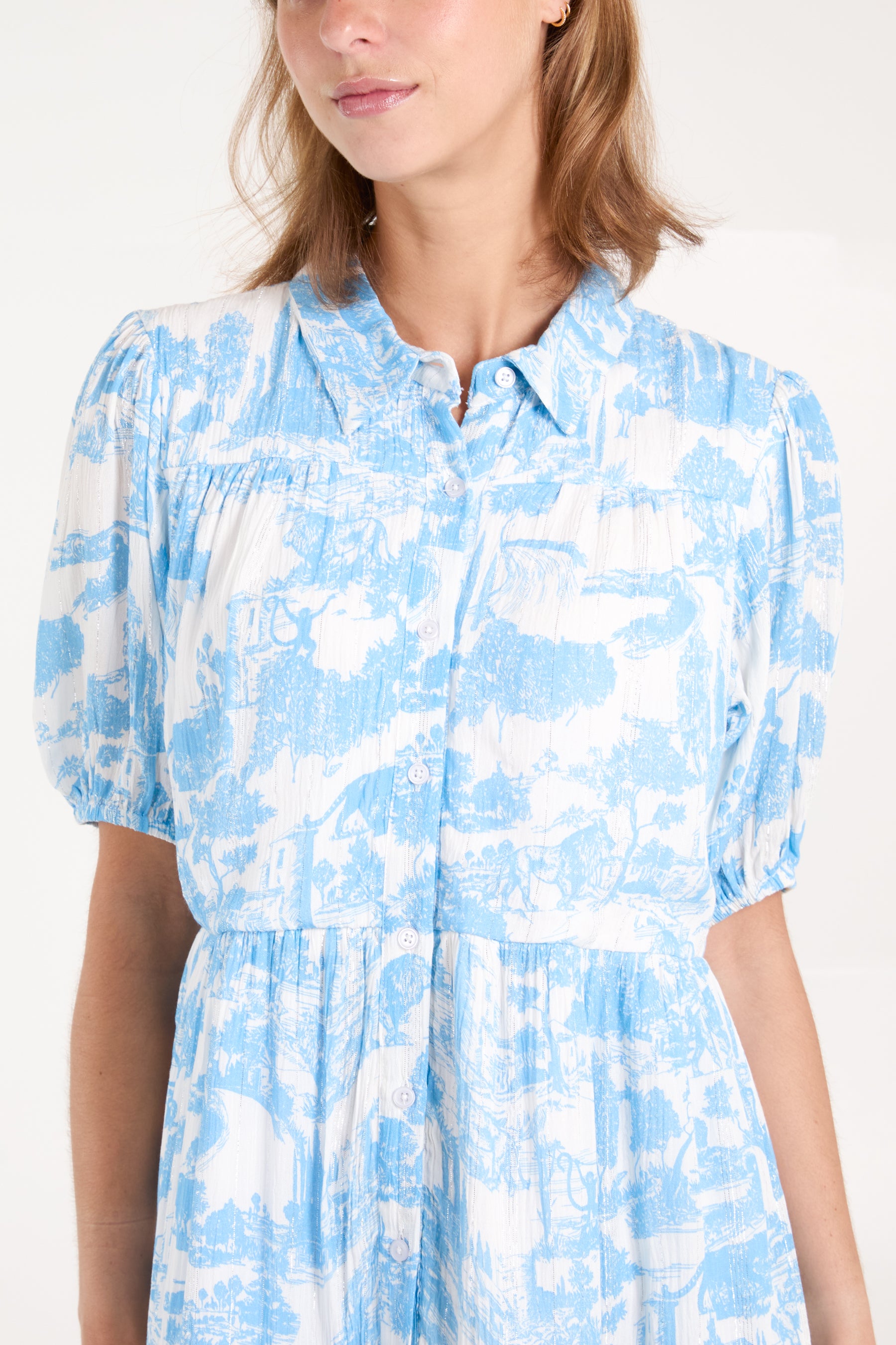 Toile De Jouy Button Mini Smock Dress