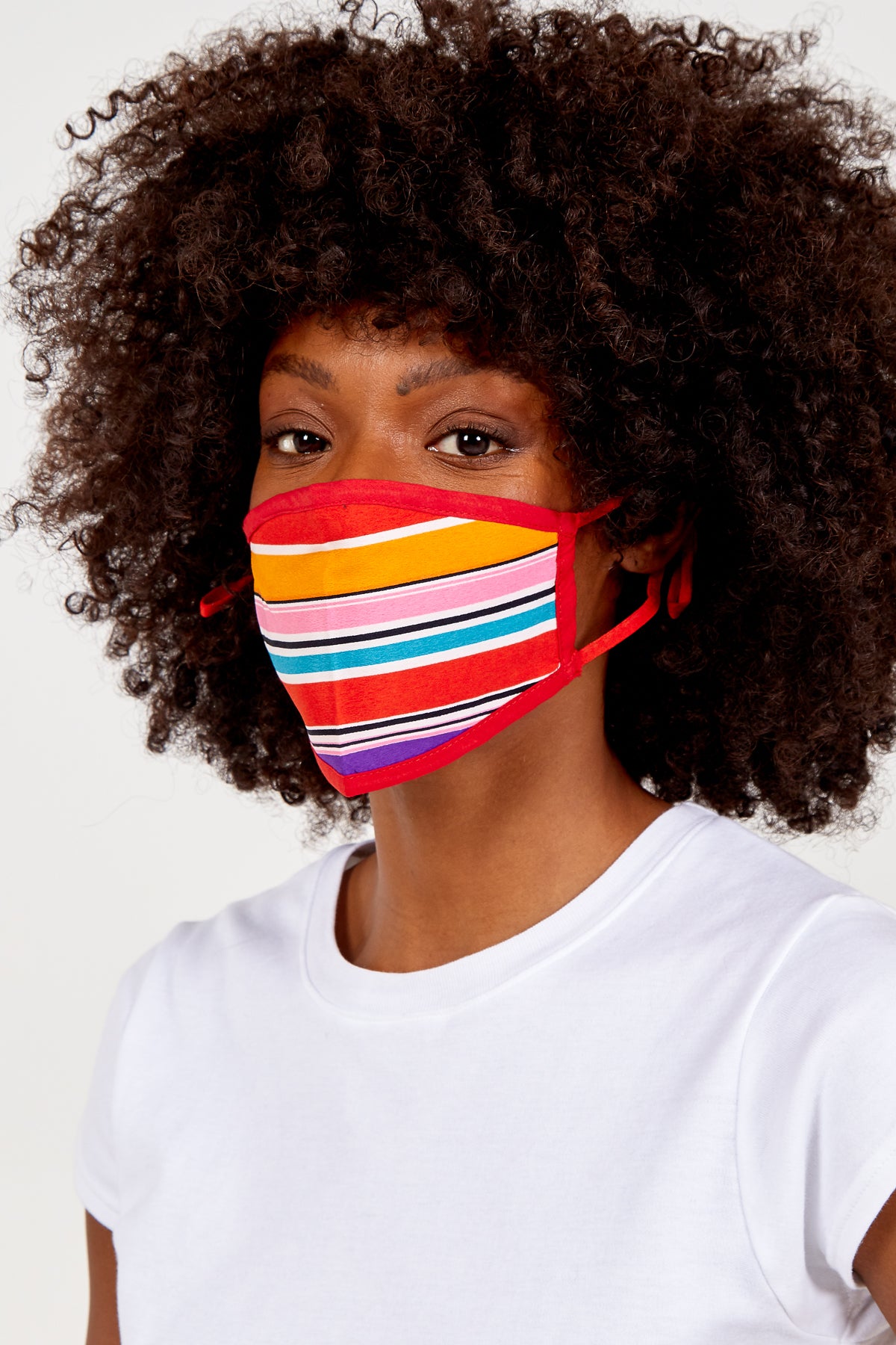 Multicolour Stripes Fashion Mask
