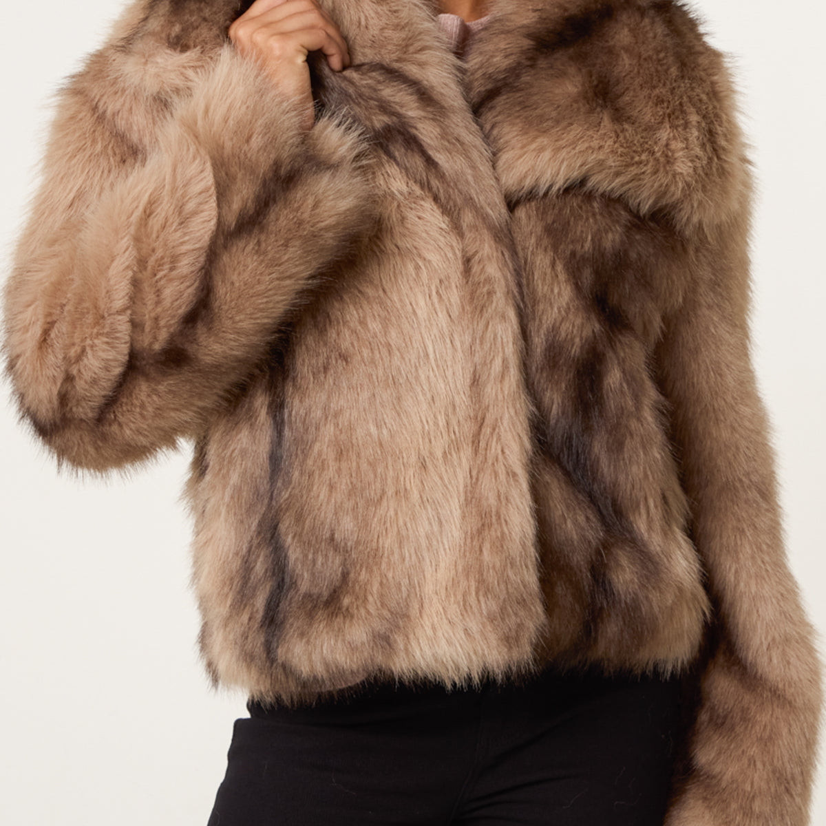 CC2602-MOCHA-