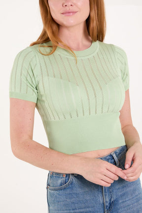 Round Neck Short Sleeve Ribbed Crop Jumper