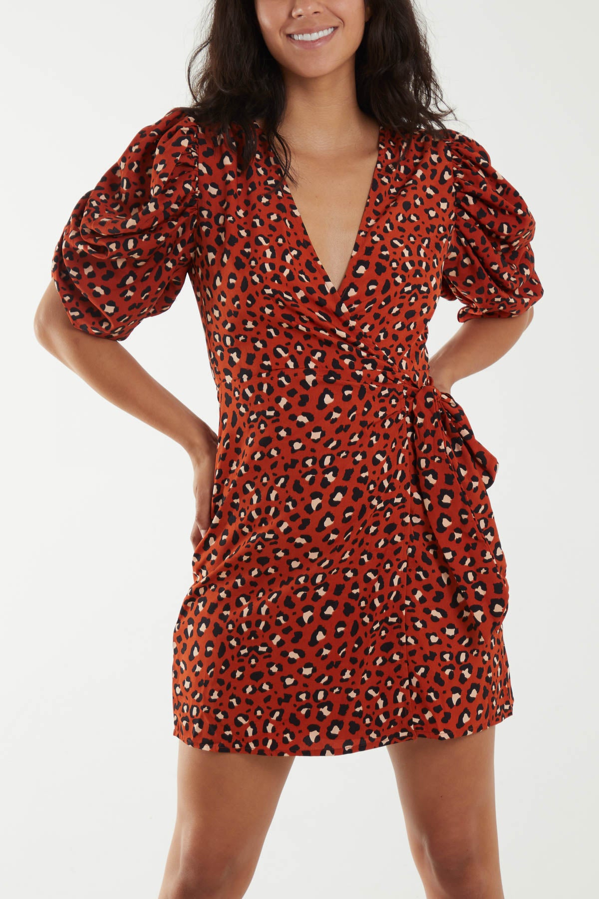 Animal Ruched Sleeve Wrap Mini Dress