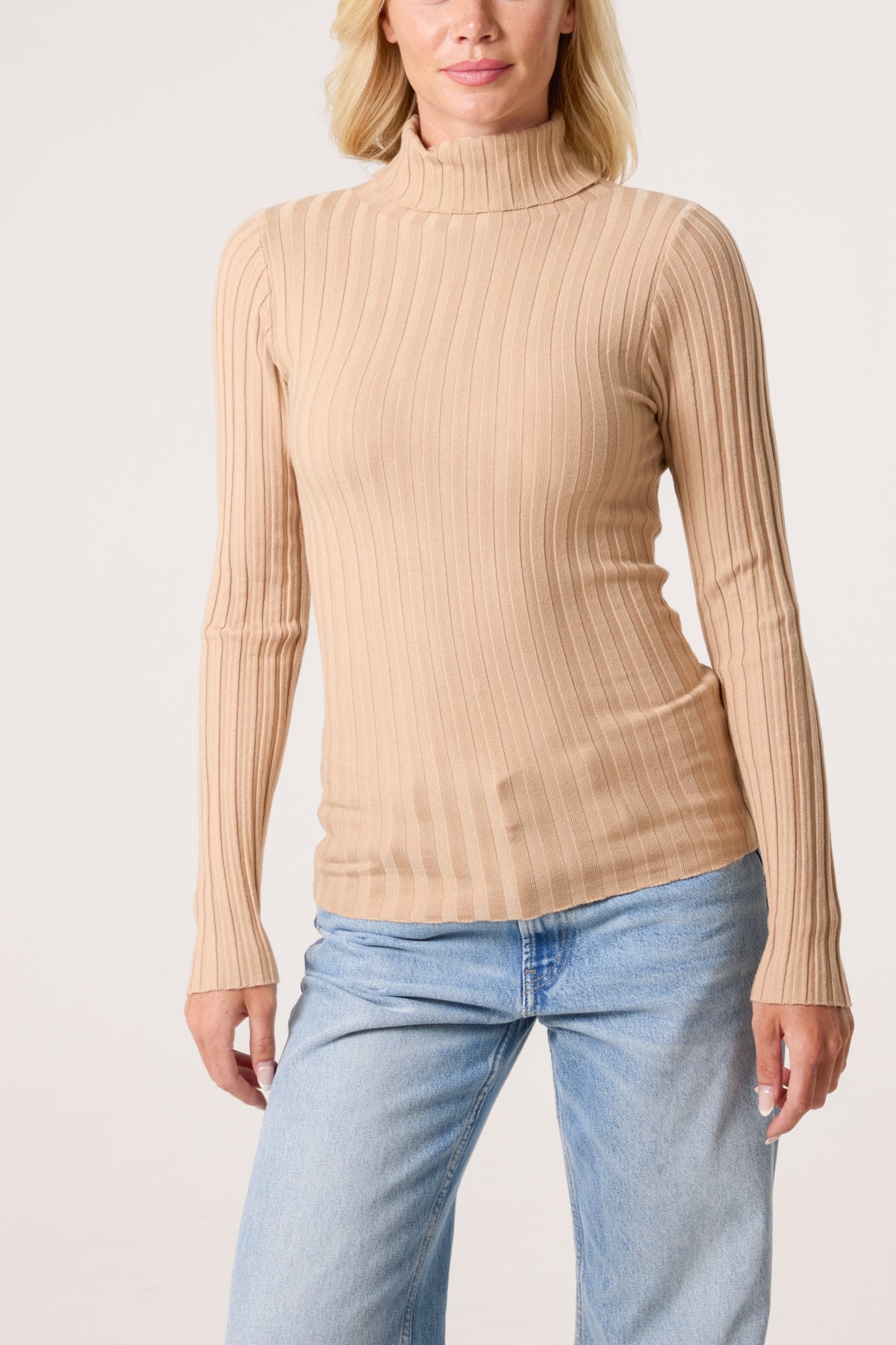 Ribbed Roll Neck Jumper