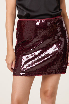 Sequin Mini Skirt