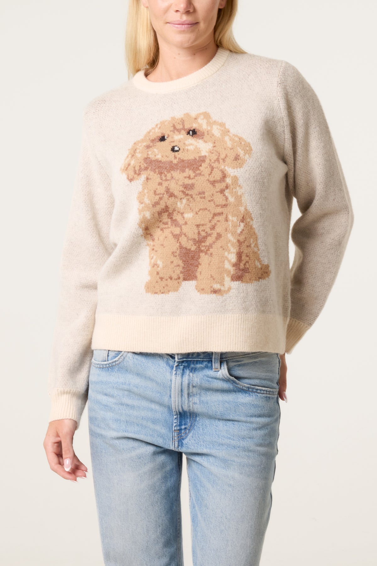 Knitted Round Neck Dog Jumper