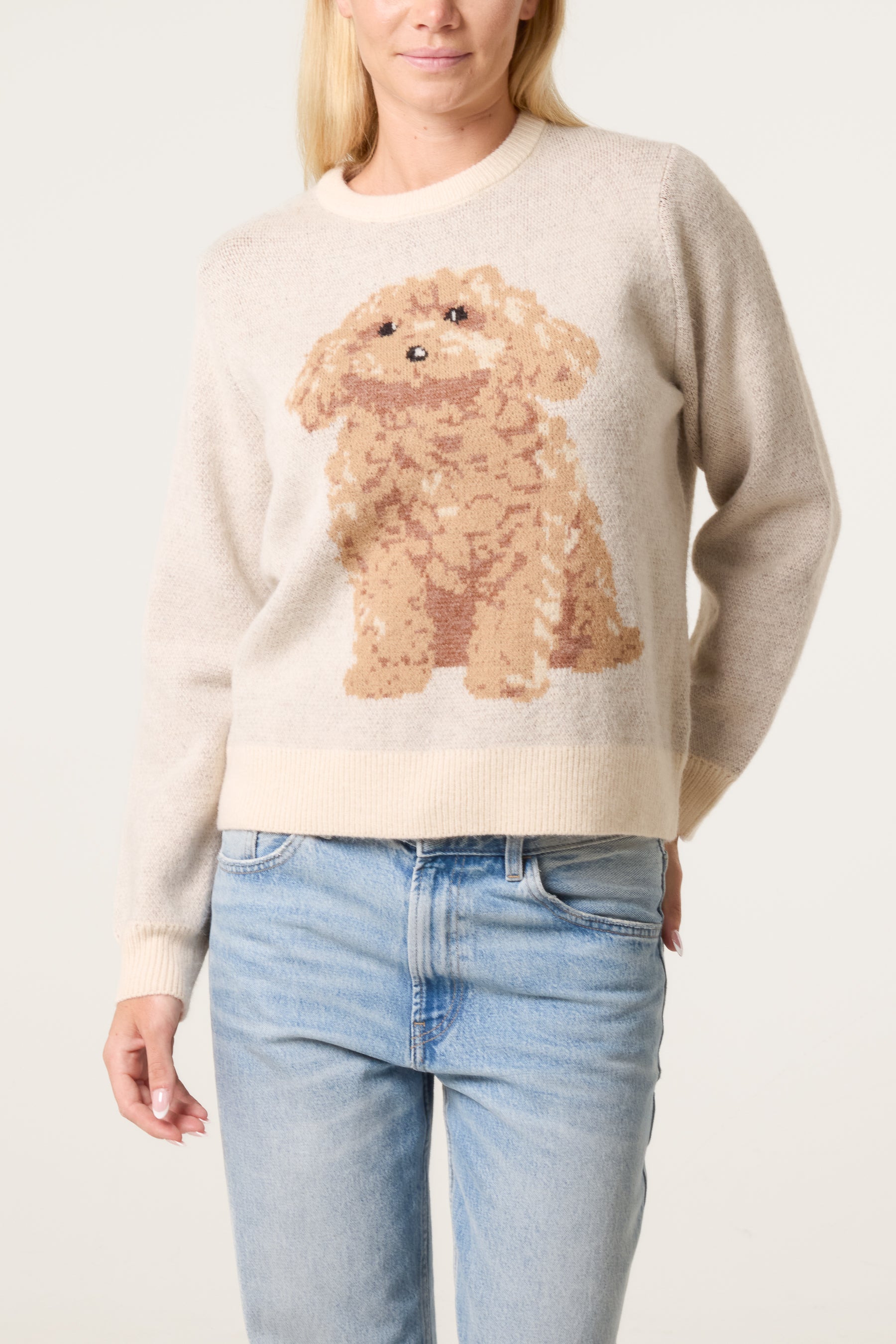 Knitted Round Neck Dog Jumper