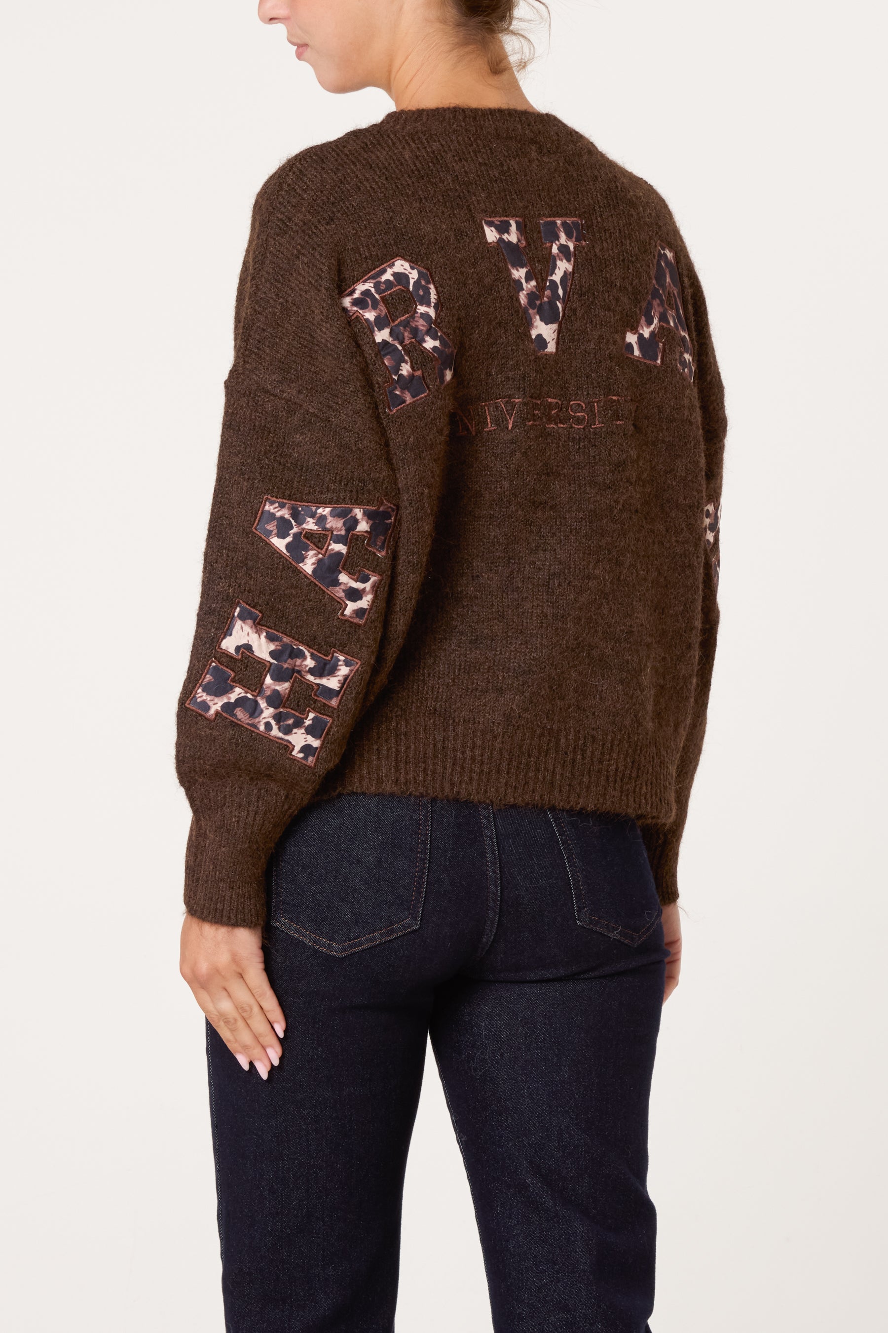Animal "Harvard" Embroidery Knit Jumper