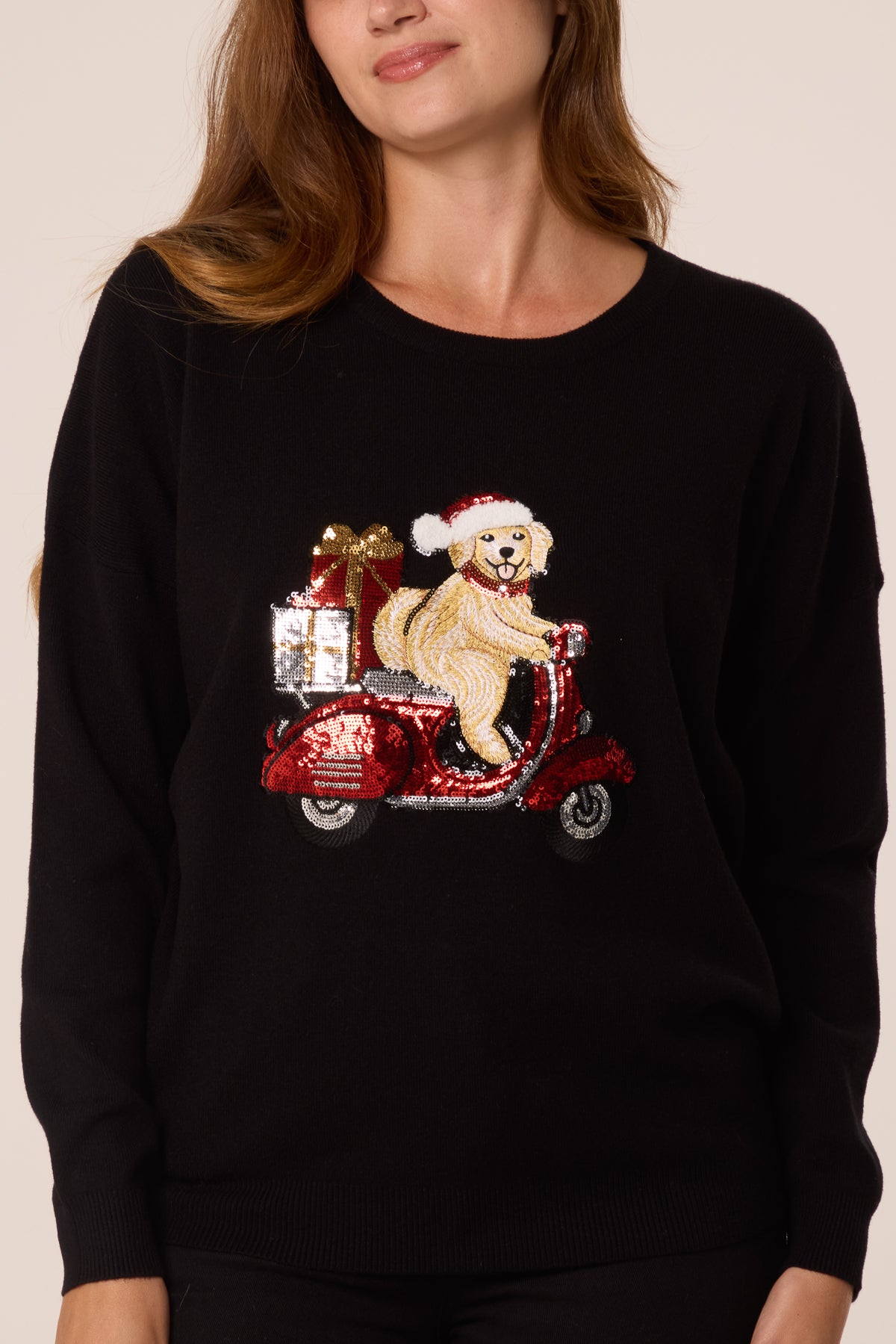 Sequin Detail Christmas Scooter Dog Jumper