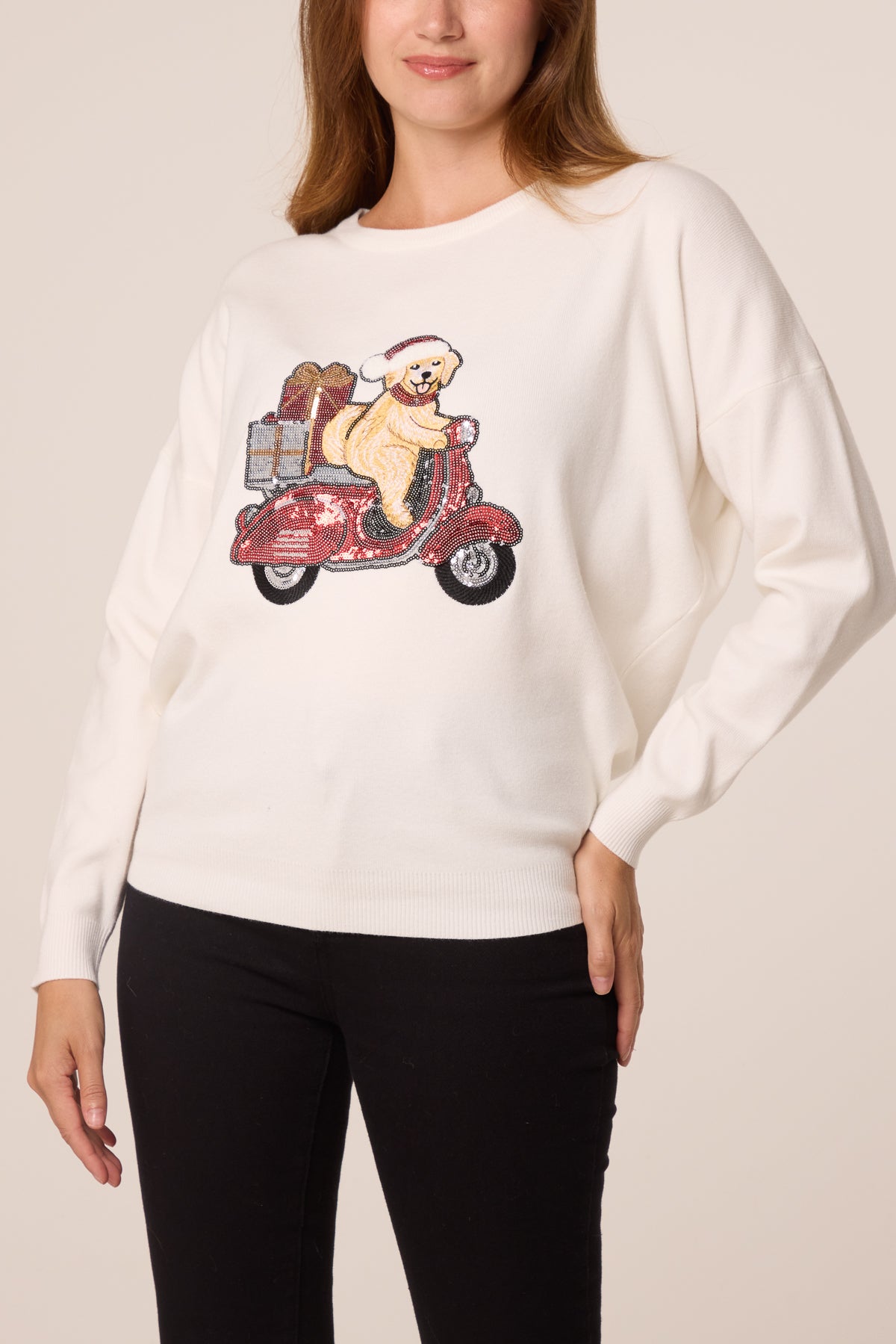 Sequin Detail Christmas Scooter Dog Jumper