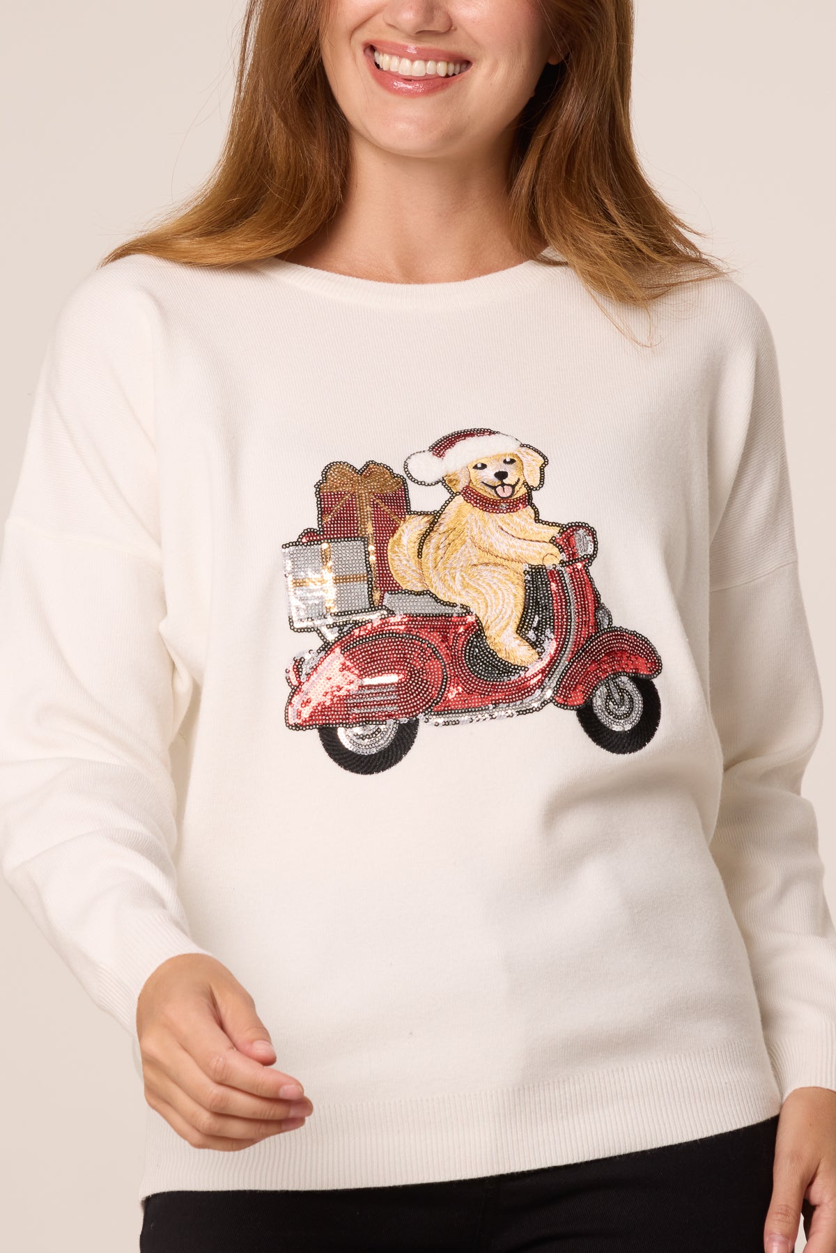 Sequin Detail Christmas Scooter Dog Jumper