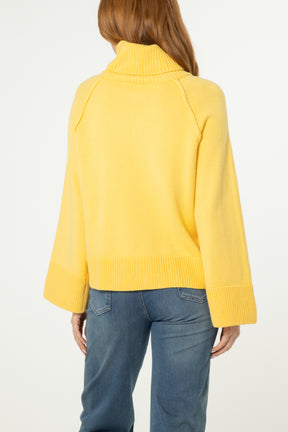 Roll Neck Raglan Sleeve Jumper