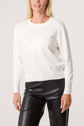 Sequin Crew Neck Knit Jumpers