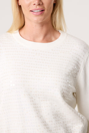 Sequin Crew Neck Knit Jumpers