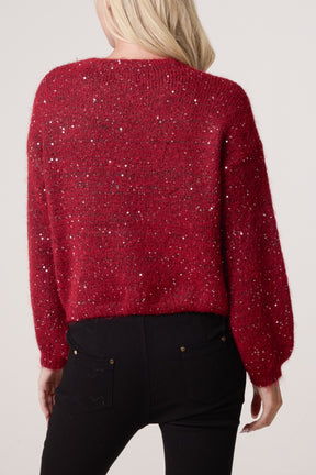 Sequin Embellished Knit Jumper