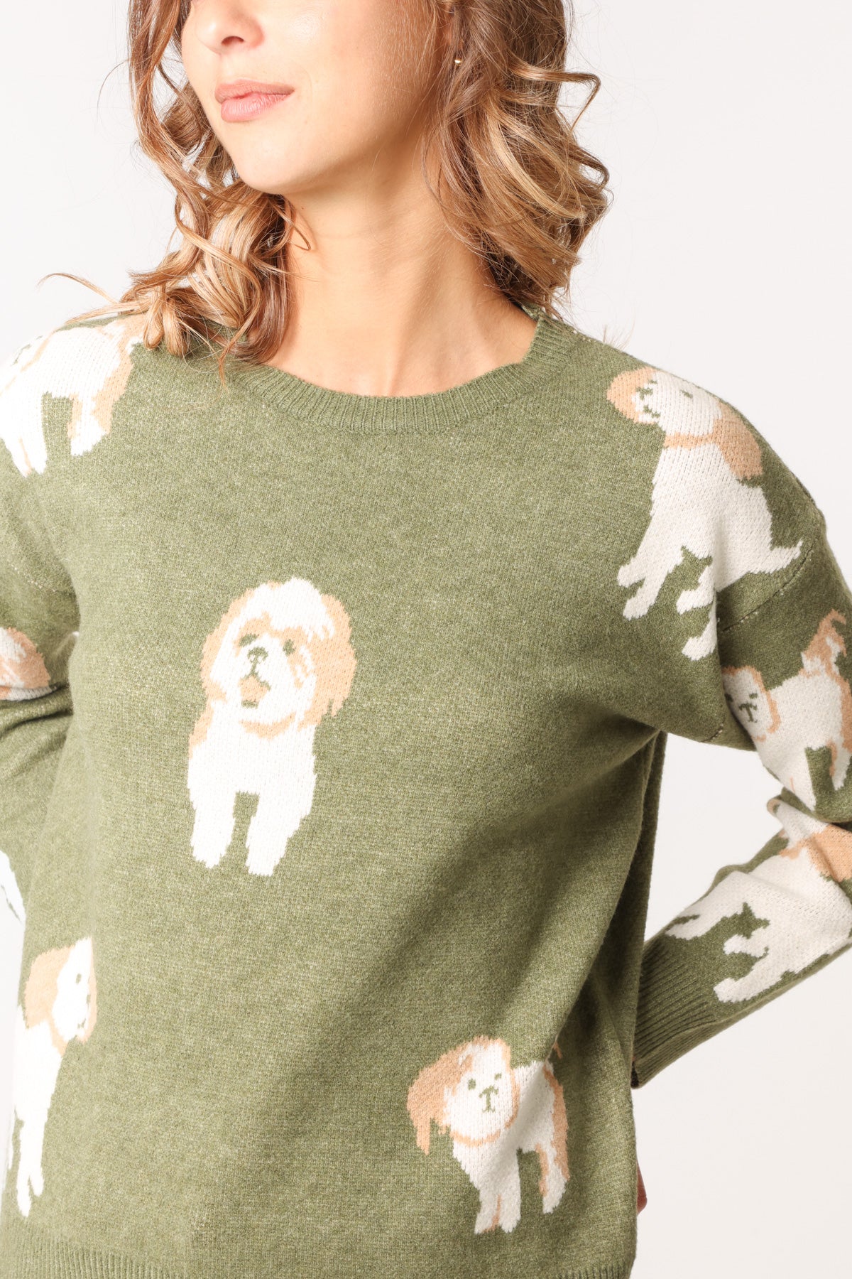 Jacquard Shih Tzu Dog Knitted Jumper