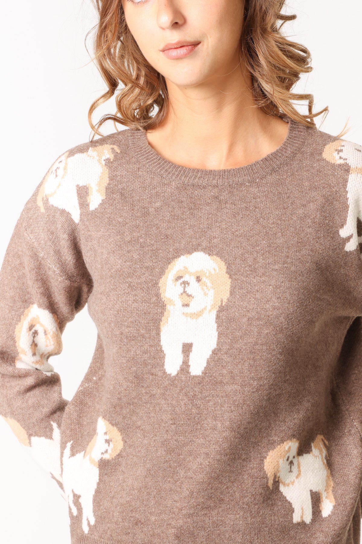 Jacquard Shih Tzu Dog Knitted Jumper