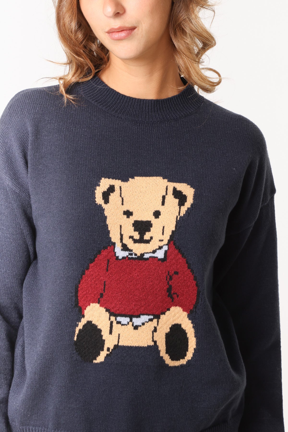 Jacquard Sweater Teddy Bear Jumper