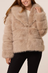 Faux Fur Collar Cropped Jacket