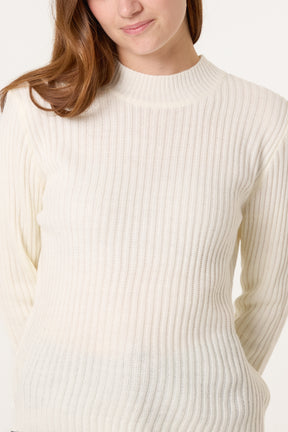 Ribbed High Neck Jumper