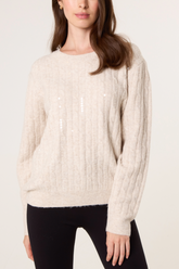 Dainty Sequins Round Neck Knit Jumper