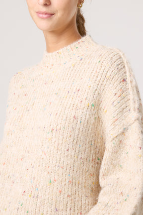 Space Dye Crew High Neck Knit Jumper