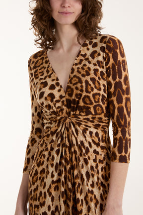 Leopard Print V Neck Mini Dress