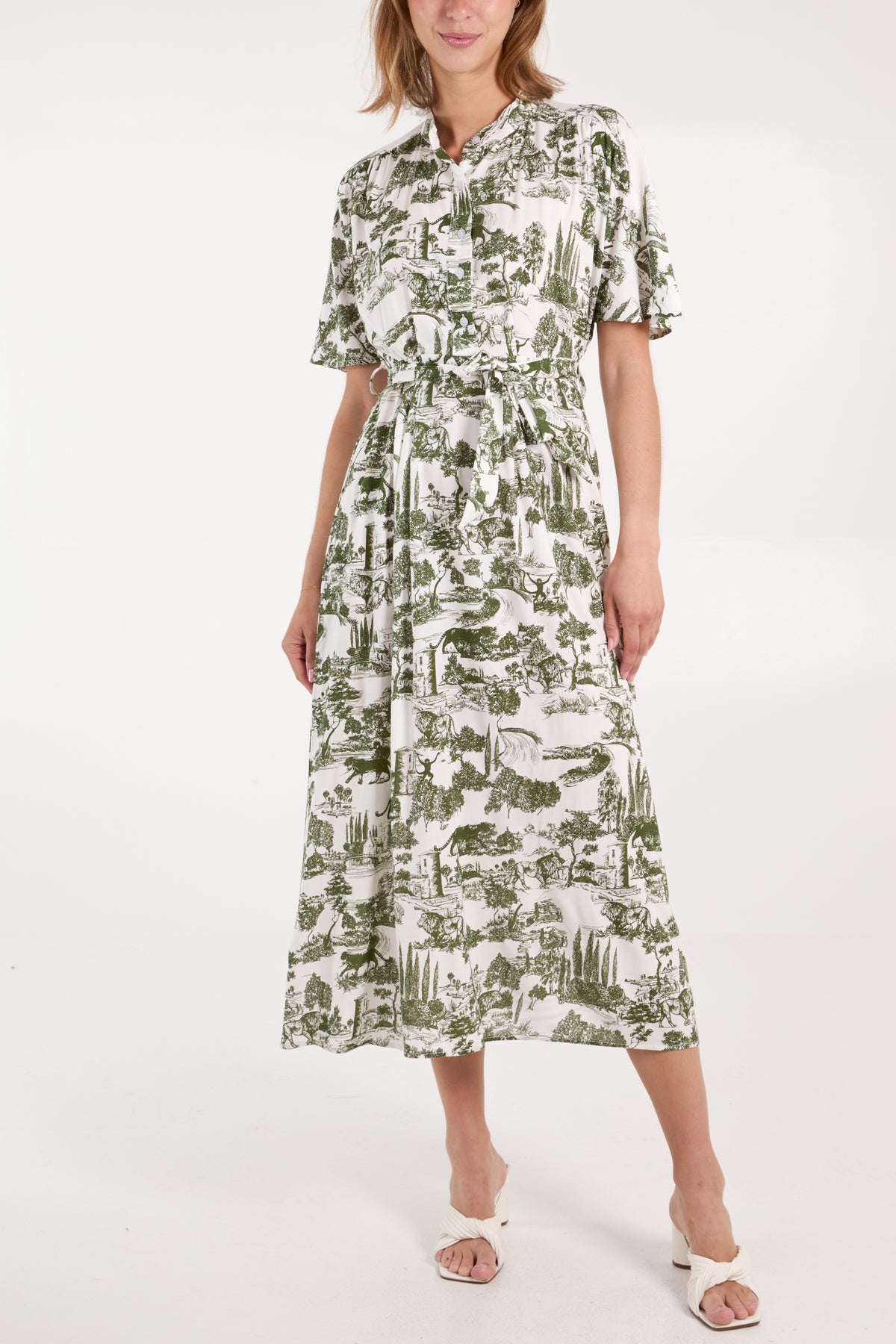 Toile De Jouy Belted Button Dress