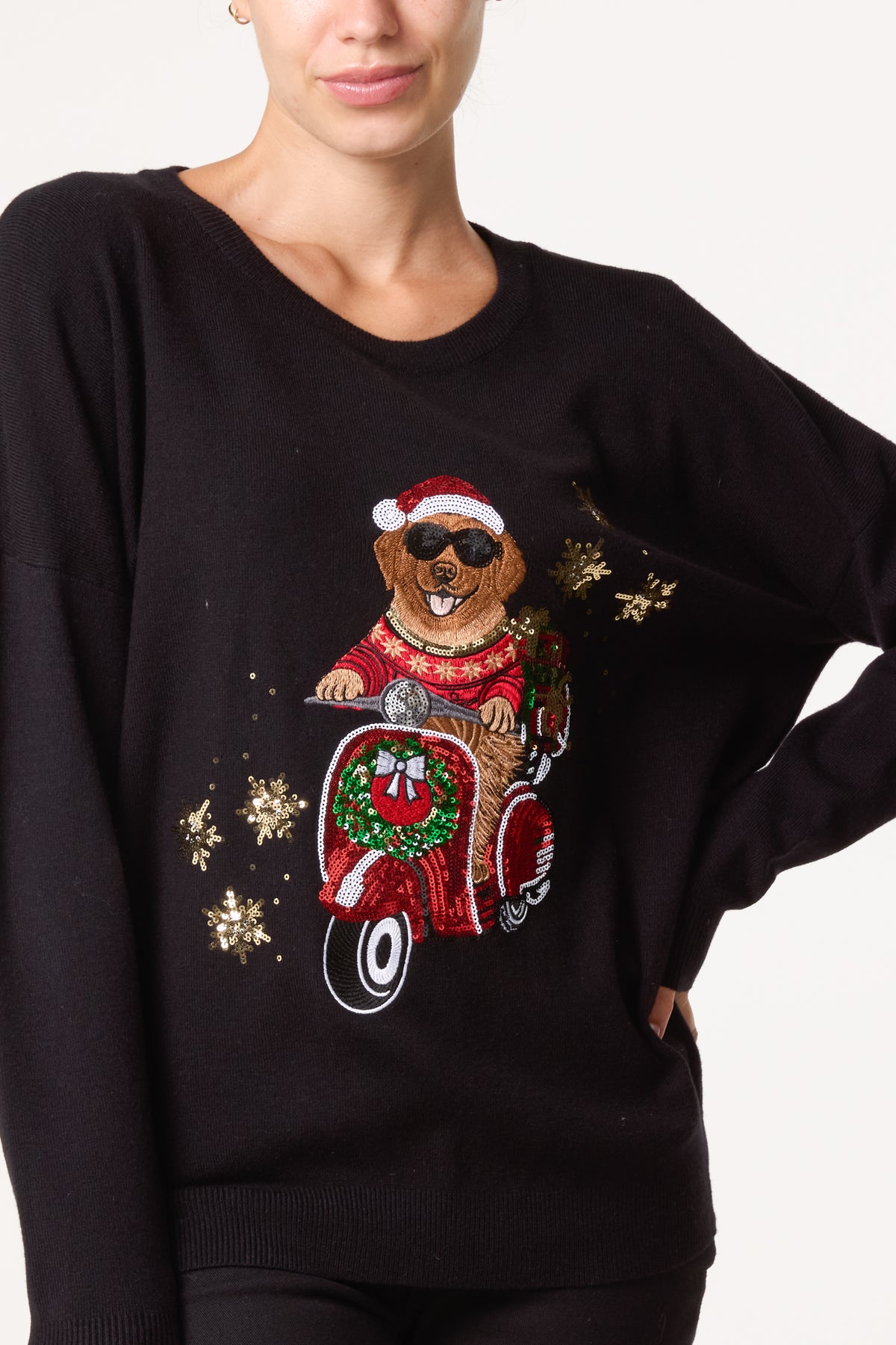 Christmas Sequin Applique Cool Scooter Dog Jumper