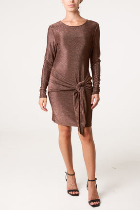 Slinky Metallic Tie Front Mini Dress