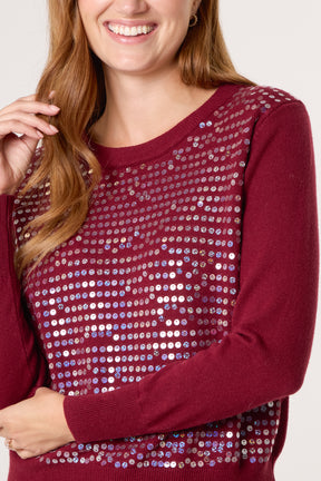 Sequin Crew Neck Knit Jumpers