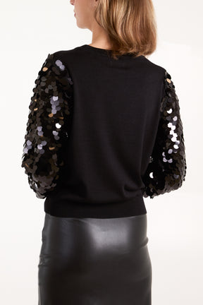 Sequin Sleeve Fine Knit Jumper