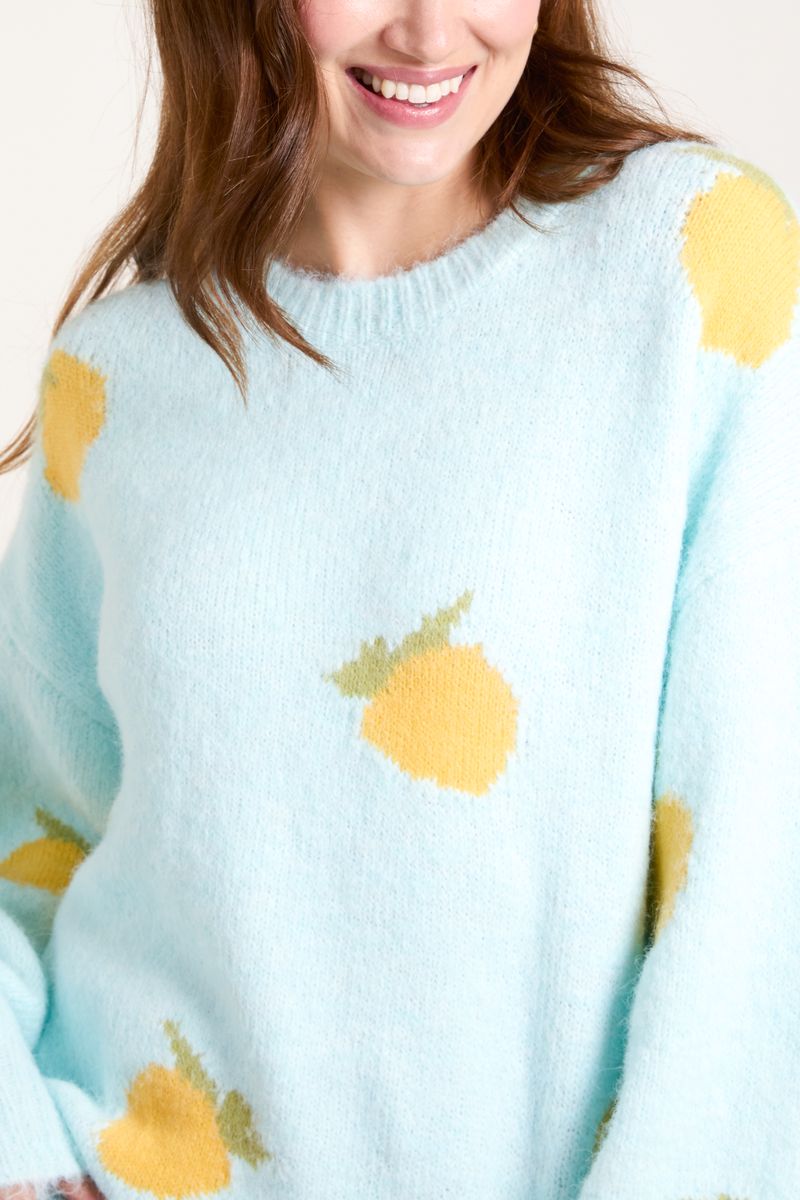 Crew Neck Lemon Fruit Knit Jumper